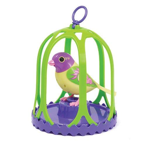 DIGIBIRDS PACK CON JAULA 88295